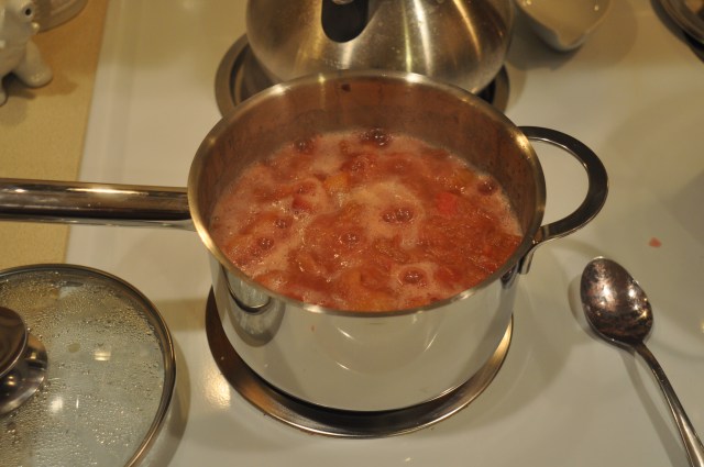 boil rhubarb